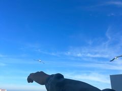 -海驴岛(荣成市)