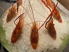 -HOMES上海本帮菜(襄阳公园店)