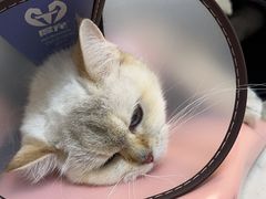 -美联众合24小时·皮肤科·外科·全科诊疗中心(华苑分院)