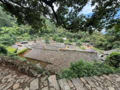 -杨家堂村