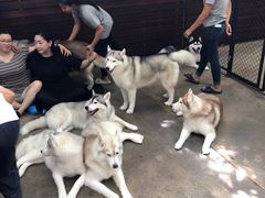 -TrueLove @ Neverland (Husky Cafe)