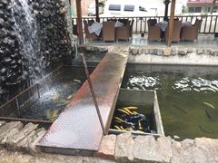 -京北渔家傲