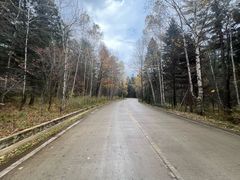 -五营红松林海景区