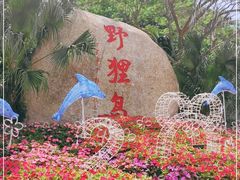 -野狸岛