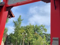 -四川大学(望江校区)
