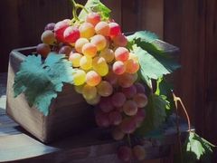 -1886德国汽车餐厅(外滩中央店)