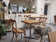 -沏点Trattoria意大利餐厅(新街口店)