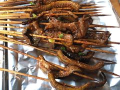 鳝鱼-晓靖轩烧烤(沙河风情店)