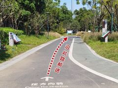 -王借岗森林公园