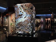 -美国自然历史博物馆