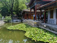 -华清宫景区