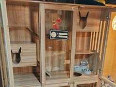 -白兔子密室(长寿路店)