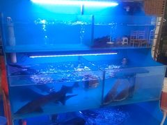 -韩妹鱼庄·泸定老字号(泸定店)