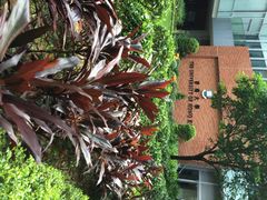 iphone_upload_pic-香港大学