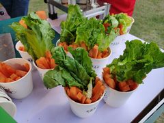 -黄海国家森林公园