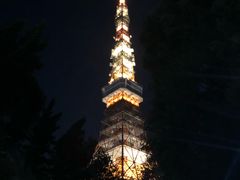 -东京塔海贼王主题公园