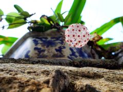 -好久不见网红乐队酒吧(鼓浪屿海底世界店)