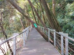 -广州市流溪河国家森林公园