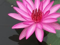 -红色娘子军纪念园