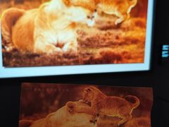 -罗红摄影艺术馆