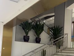 -美可普口腔医院(东街分店)