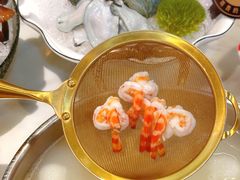 -喜聚薈·花膠雞海鮮火鍋(越秀店)