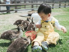 -前小桔亲子创意农场·草莓采摘·露营烧烤