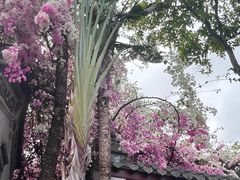 -深圳国际园林花卉博览园