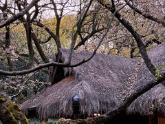 -中国茶叶博物馆(双峰馆区)