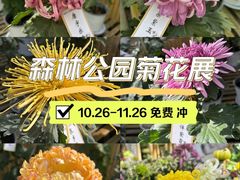 -上海共青森林公园
