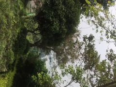 -古宇湖风景名胜区