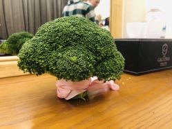 -格乐利雅婚礼艺术中心(浦东花木店)