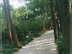 -上海醉白池公园