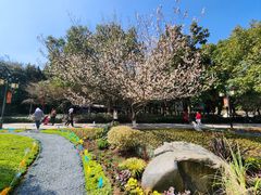 -白马涧龙池景区