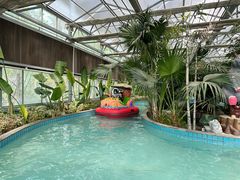 -南宫五洲植物乐园