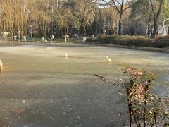 -西安市长乐公园