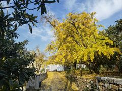-东山风景区(洞庭东山)