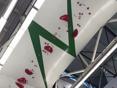 -绿壁虎攀岩基地(Tcar店)