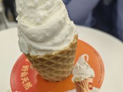 -野人先生现做冰淇淋(北京环宇荟店)