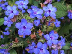 -华南国家植物园-售票处