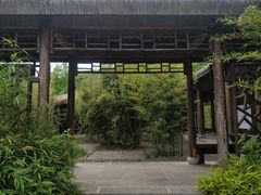 -苏州上方山国家森林公园