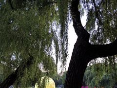 -北陵公园