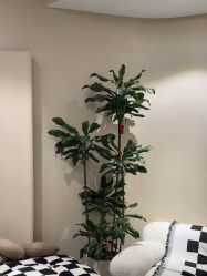 -KONSISTANT科思坦汀问题肌·科技美肤
