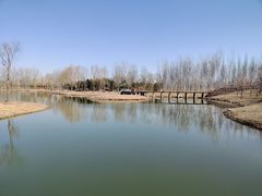 -东郊湿地公园