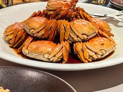 -沈灶河豚宴·河豚融合餐厅(汉中路店)