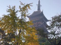 -常熟方塔园