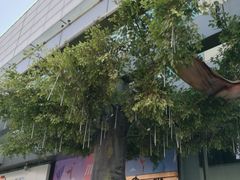 门面-北京华联购物中心(天通苑店)