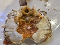 -半岛听涛蒸汽海鲜自助(K11店)