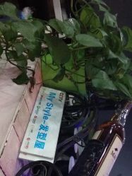点击看大图 -Ly形象设计