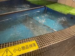 -云海肴云南菜·蒸汽石锅鱼(青岛万象城店)